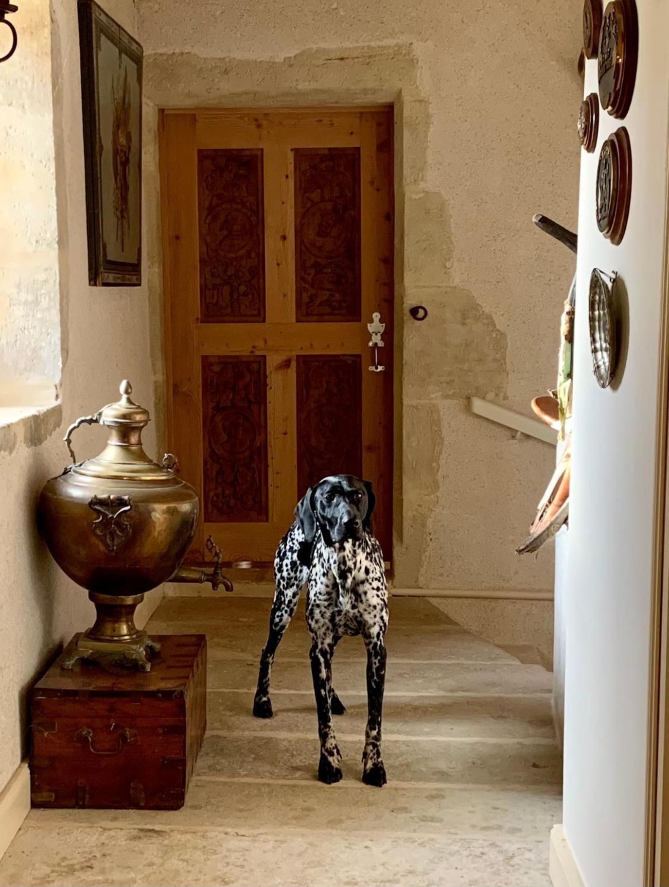 Logis De La Touche Bed & Breakfast Saint-Hilaire-des-Loges Dış mekan fotoğraf